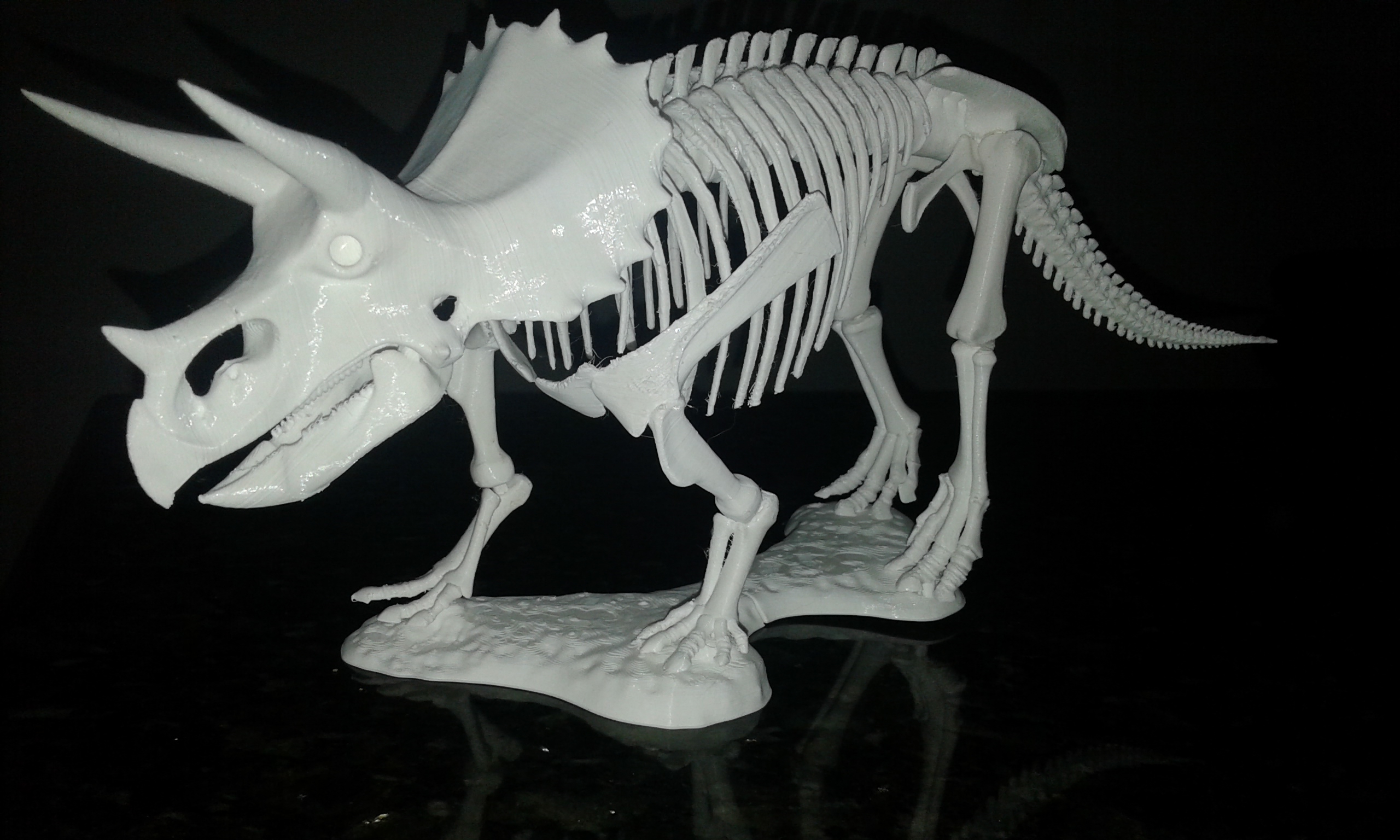 Decoração: Triceratops - Fiat